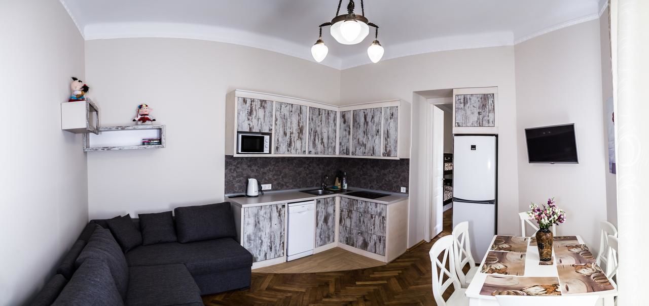 Апартаменты Apartments WHITE HOUSE Львов-19